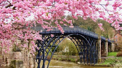 Flowering bridge - The Friends of the Lake Lure Flowering Bridge, which was founded in 2011 to take care of the gardens, started the process of saving the bridge and raising funds, Massey said. According to him ...